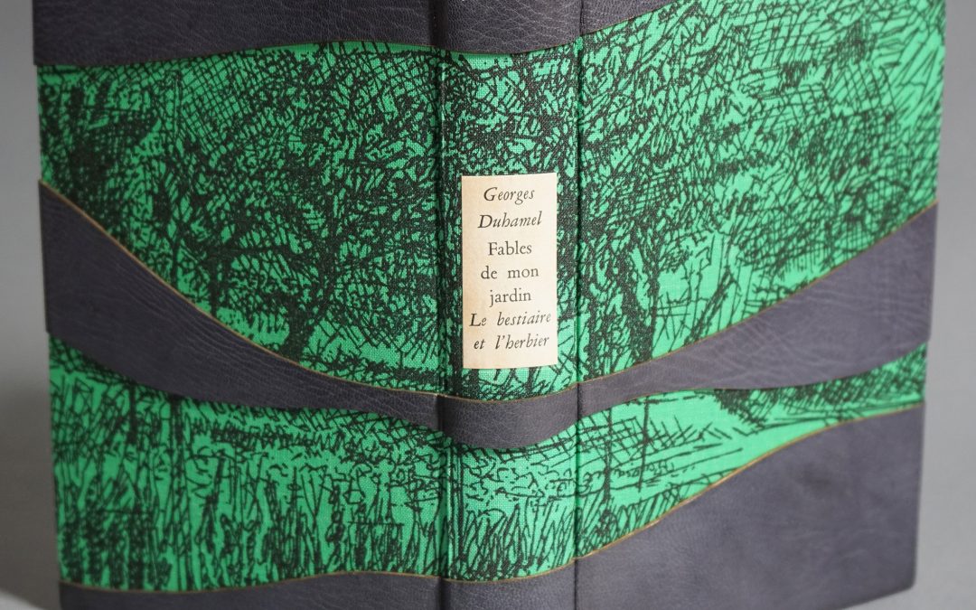 淡田明美　AWADA Akemi