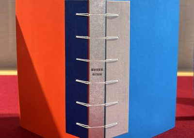 中川京子 NAKAGAWA Kyoko