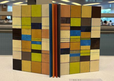 柴田有子 SHIBATA Ariko